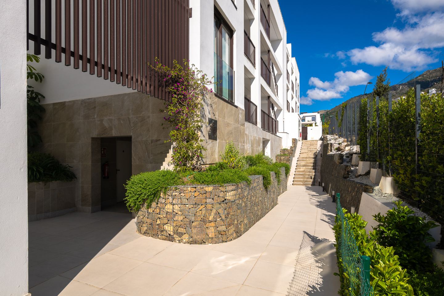 Horizon 36 Higueron — 36