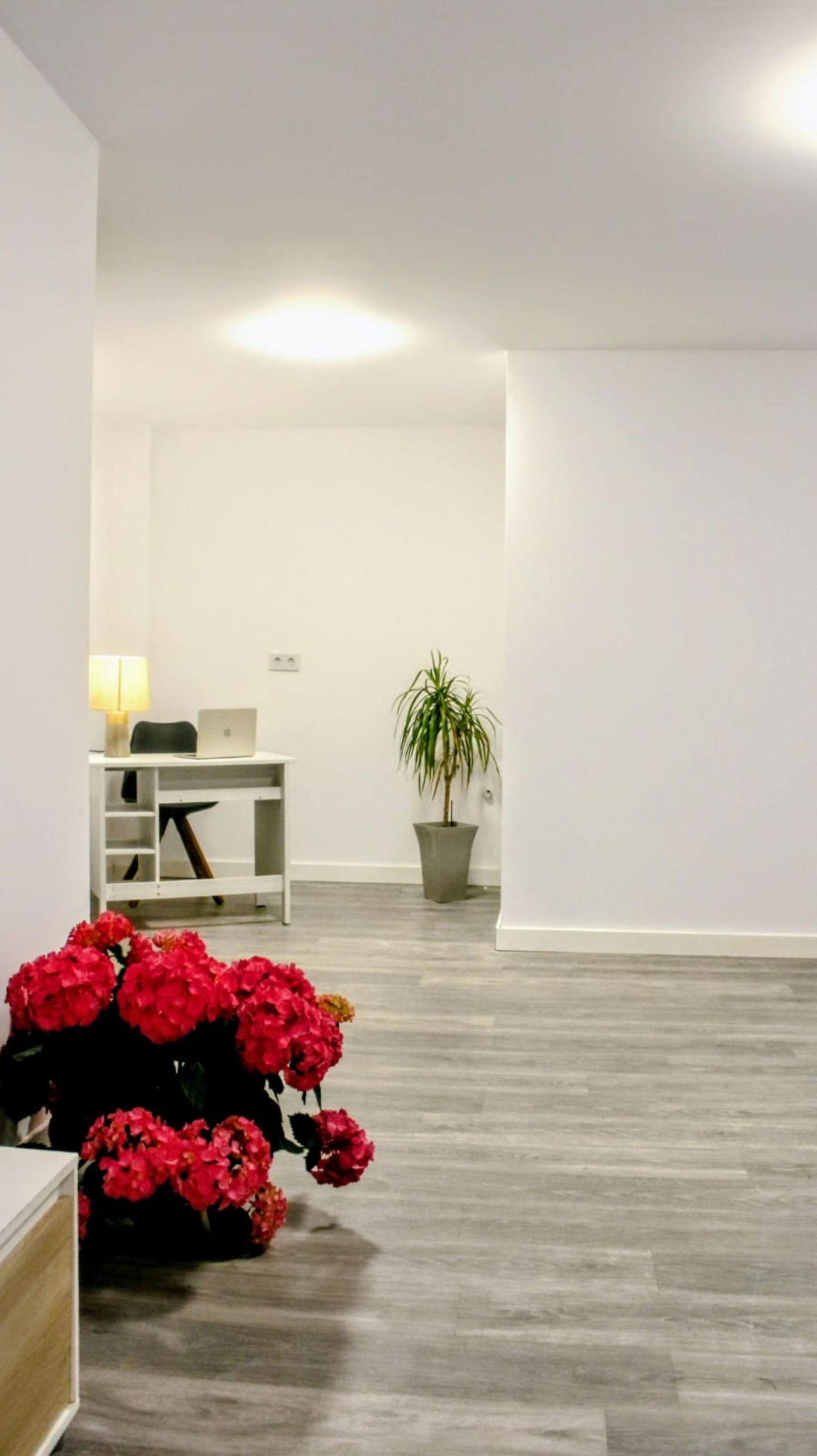 Villa 4 chambres avec licence touristique — 21