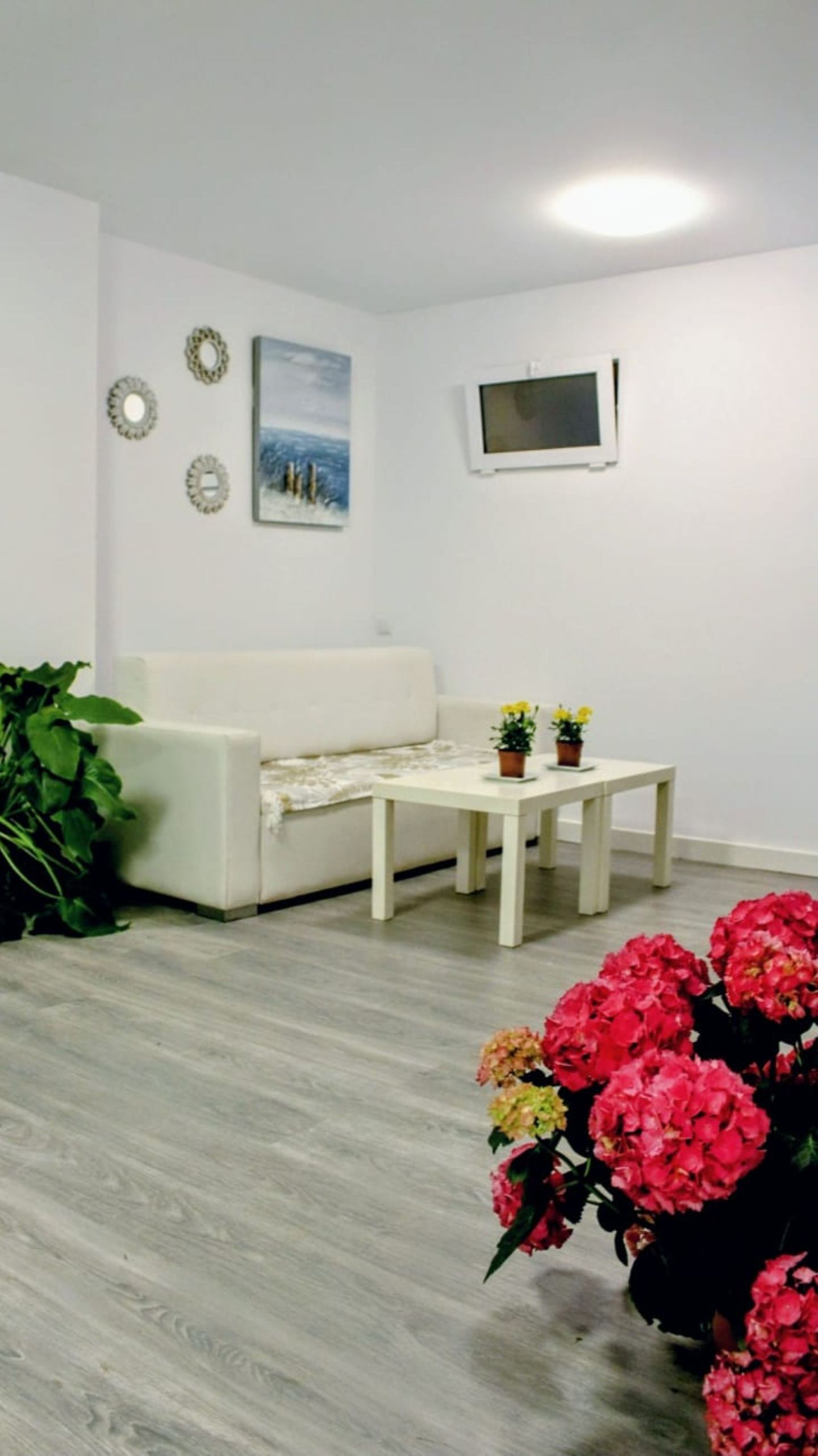 Villa 4 chambres avec licence touristique — 22