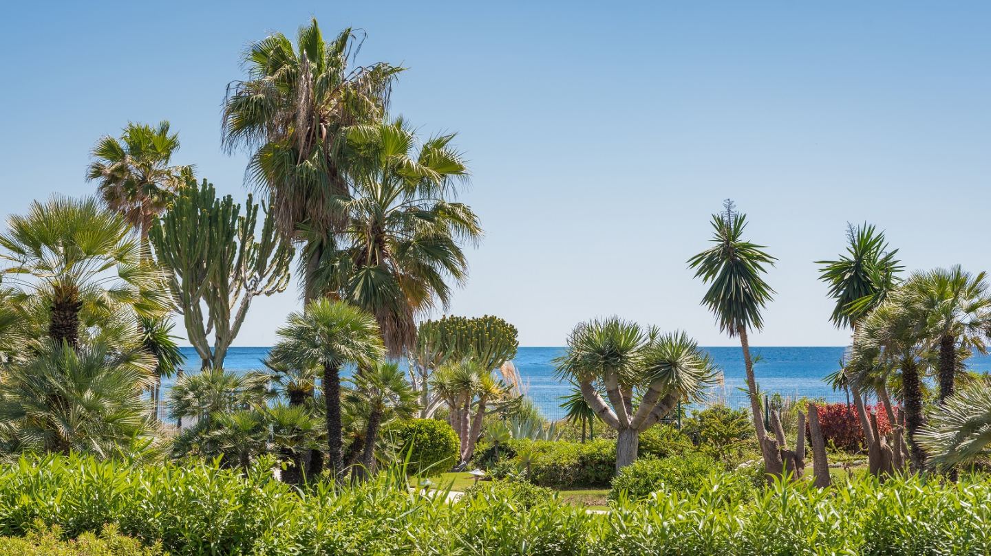 Appartement 3 chambres Estepona — 2